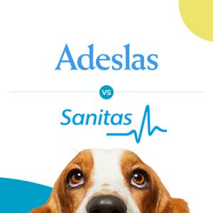 Adeslas o Sanitas, ¿qué aseguradora es mejor?